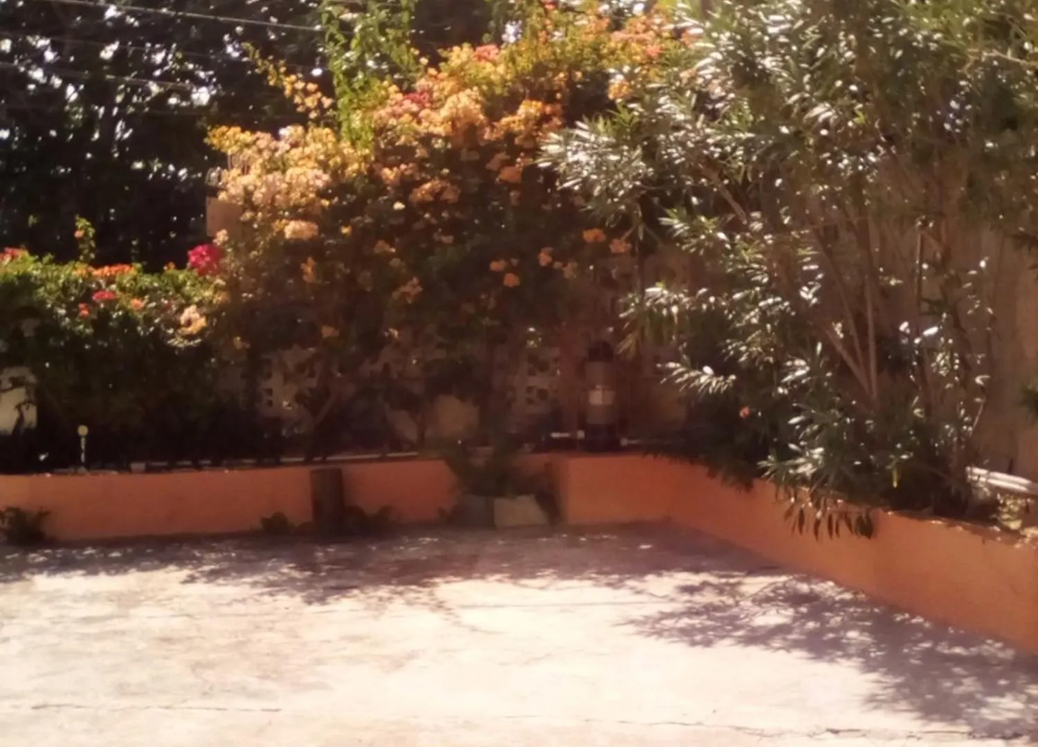 Bed & Breakfast Castle Vue B&B Montego Bay
