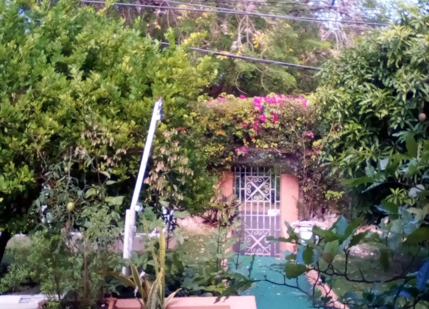 Castle Vue B&B Montego Bay Bed & Breakfast