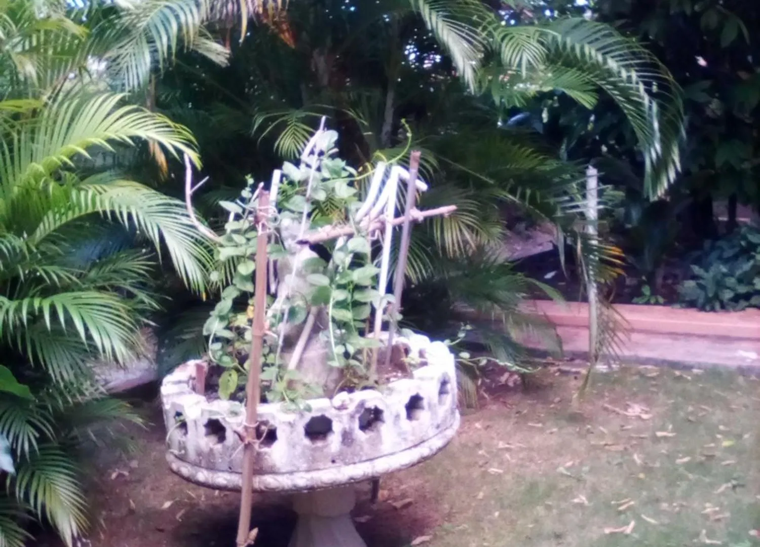 Castle Vue B&B Montego Bay