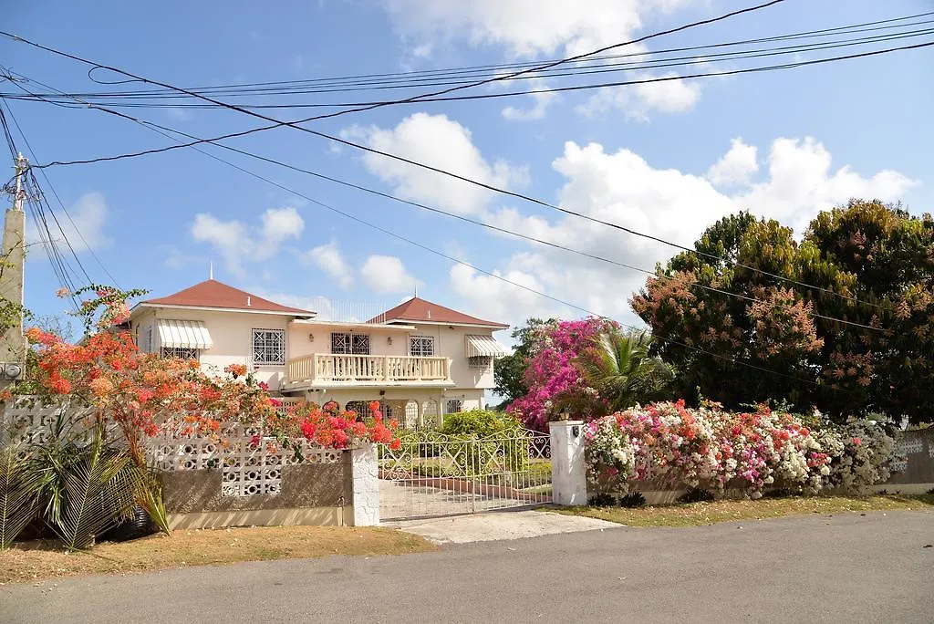 Bed & Breakfast Castle Vue B&B Montego Bay