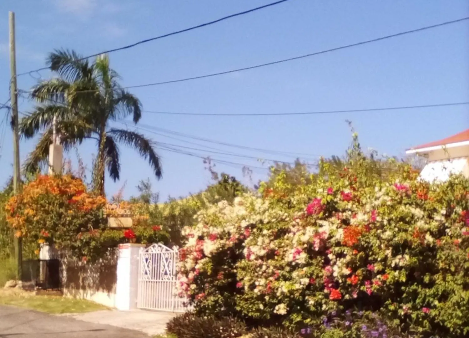 Castlevue B&B Montego Bay