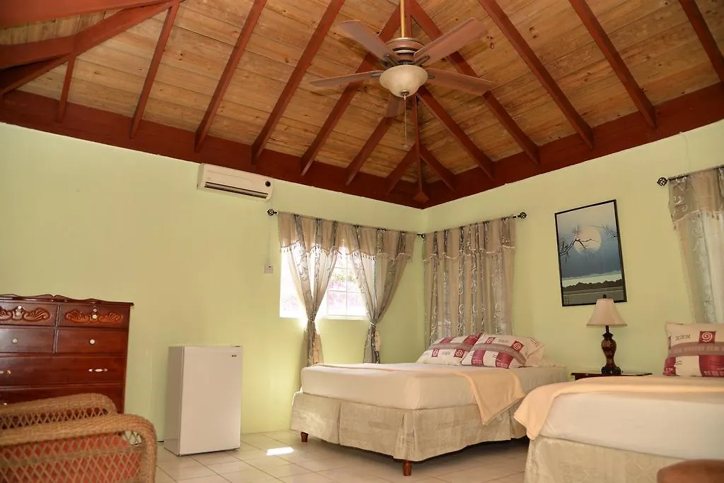 Castlevue B&B Montego Bay Bed & Breakfast