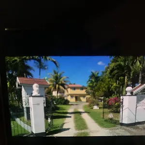Little Shaw Park Jamaica